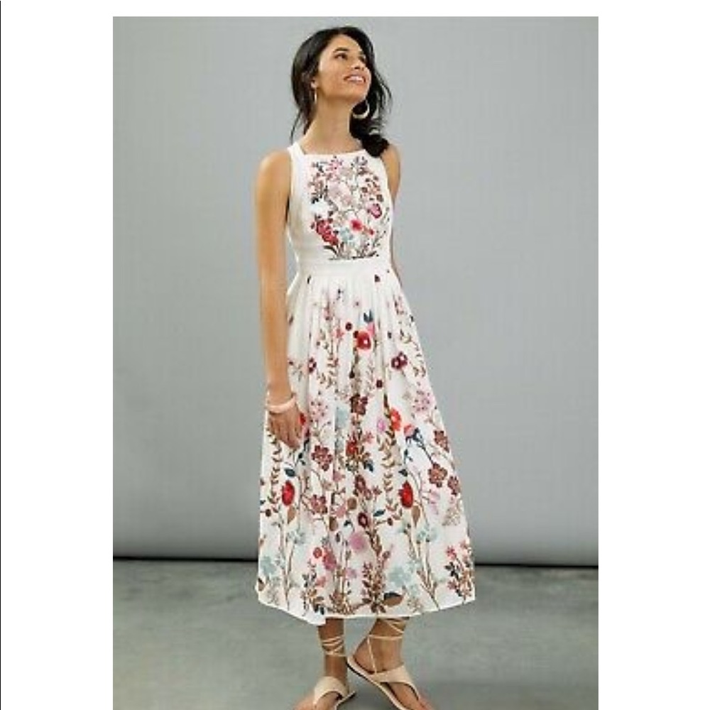 Anthropologie embroidered Eularia maxi